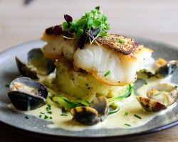 Oven roasted loin of cod served on a lemon thyme potato cake with buttered courgetti and clams in a creamy prosecco sauce topped with crisp pancetta Oven roasted loin of cod served on a lemon thyme potato cake with buttered courgetti and clams in a creamy prosecco sauce topped with crisp pancetta
