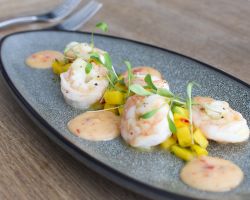 King prawns cooked in garlic butter served with a chilli, mango and coriander salsa, sweet chilli aioli and baby leaf salad King prawns cooked in garlic butter served with a chilli, mango and coriander salsa, sweet chilli aioli and baby leaf salad